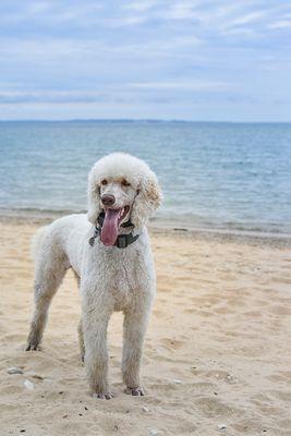 Glen haven beach