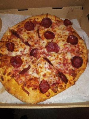 Area 51 pizza. Essentially a basic pepperoni pizza.