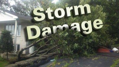 Your Advocate in Storm Damage Insurance Claim Recovery Since 1992 A+ BBB rating