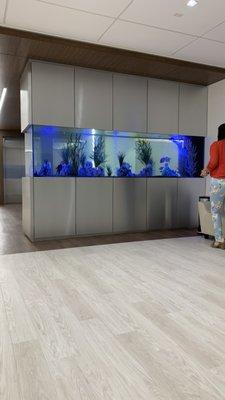 Fish tank in the hallway