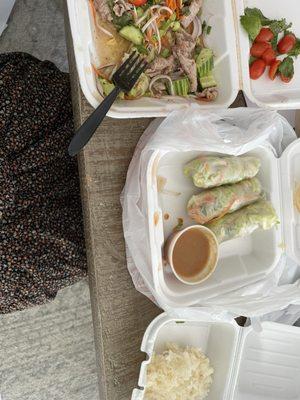 Beed waterfall salad, Spring rolls (this peanut sauce comes with the satay, spring rolls usually have a vinaigrette)