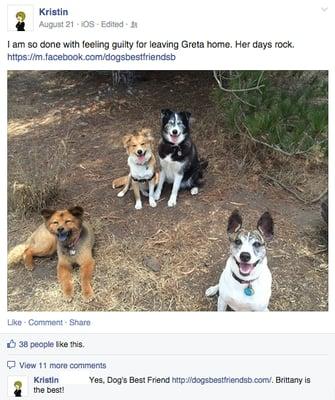 dog walking, pet sitting, Santa Barbara