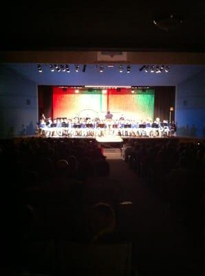 Christmas concert. Beautiful show!