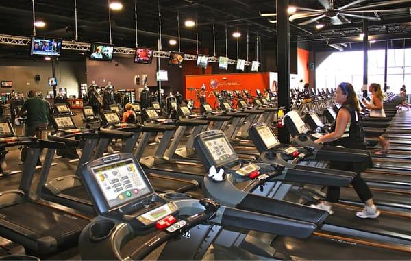 Huge Cardio Area