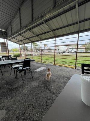 Outside dining area on a gorgeous day.