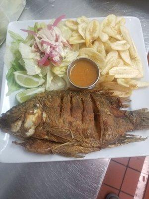 Fried tilapia fish.