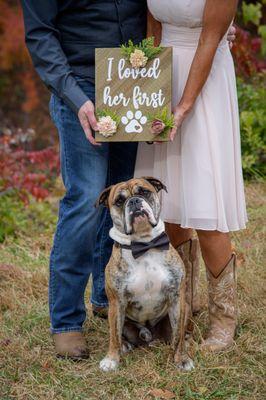 intimate wedding ceremony with dog