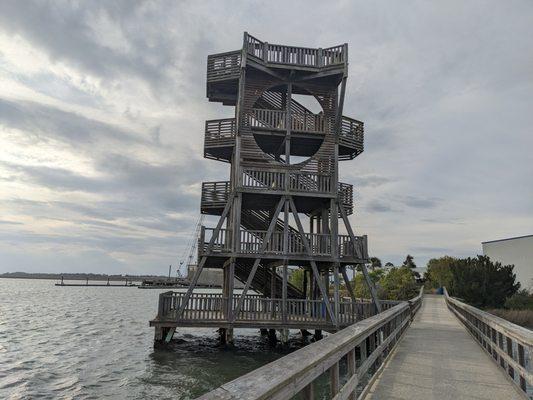 Henry Robinson Boardwalk & Observation Tower