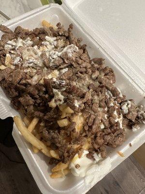 Carne asada fries.. they forgot to add cotija cheese and guac