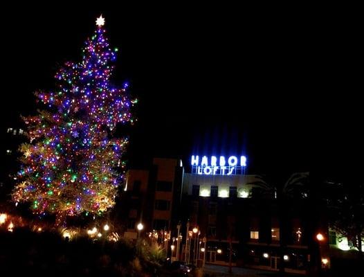 Harbor Lofts Condominiums as viewed from the Downtown Anaheim holiday tree.