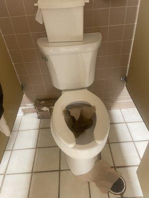 Clogged toilet