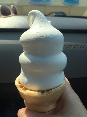 Small cone (my friend got a large & it was 3xs the size lol)