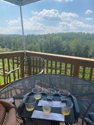 Two taster flights  overlooking the vineyard