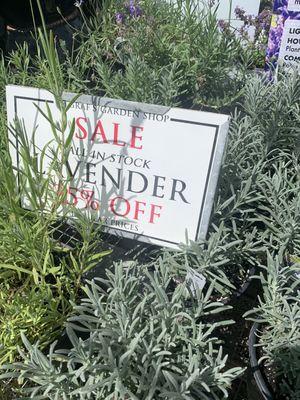 They have 25% lavender and other items, and a 50% table sometimes for perennials!