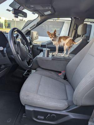 He's SO HAPPY that he finally has an F150 again!