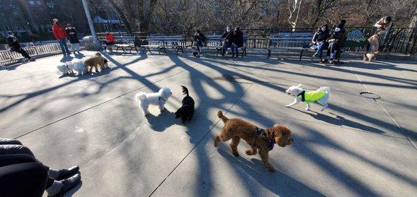 Carl Schurz Dog Run