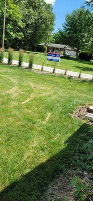 Truck track marks. Tore up my yard, I am not even their client. My next door neighbor was.