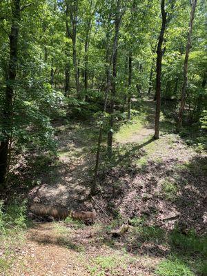 Hiking trail on the property