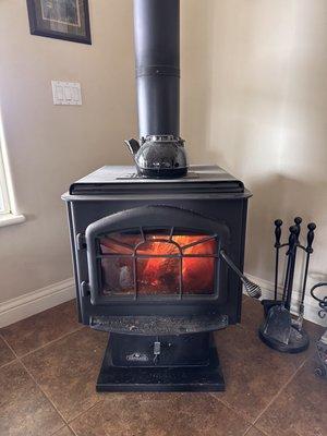 Napoleon wood stove