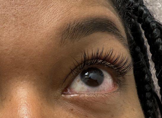 Classic lash lift