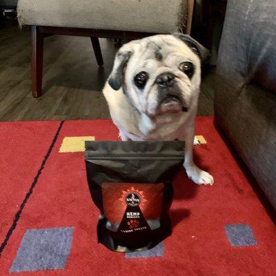 Their CBD dog treats are definitely Pug approved!!!