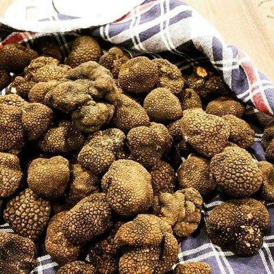 Black Winter Truffle