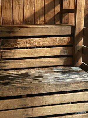 Dry sauna gross wood