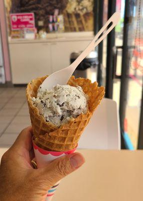 Simple mint chocolate in waffle cone - yum!