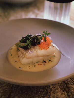 Icelandic Cod