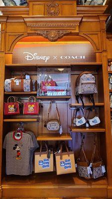 Disney x Coach  07-14-2022