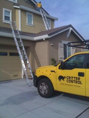 Critter Control San Jose