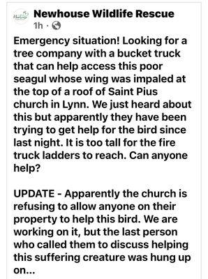 Newhouse Wildlife's post in real time of the emergency situation unfolding