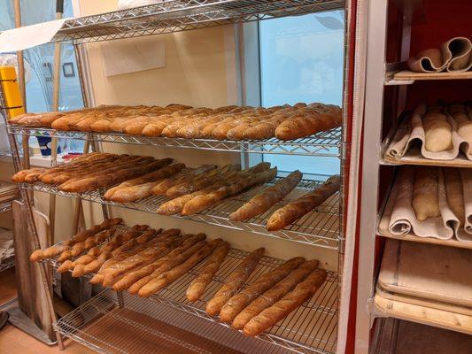 So many baguettes!