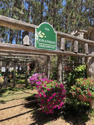 Entrance to greenhouse.