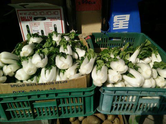 Nice bok choy!!!