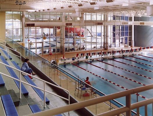 8 Lane Lap Pool