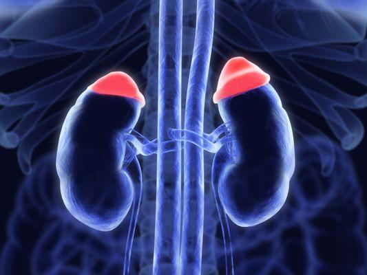 Adrenal diseases