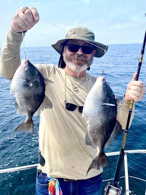 Double hook up...! Two triggerfish, but both too small to keep.