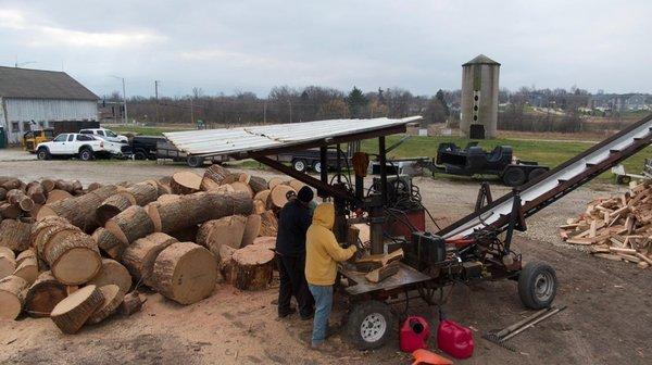 Splitting firewood