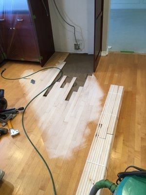 Repairs to a maple floor - we do it all!