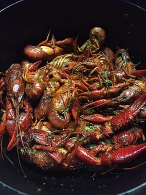 $25 all you can eat crawfish only @ Boo Coo's!! The BEST in hTown