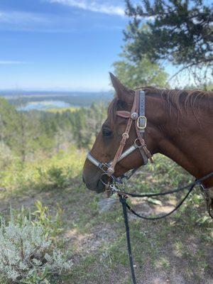 Tetons in the distance