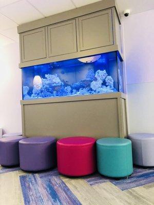 Fish tank in the waiting room