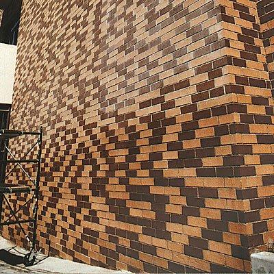 Brick Surface Restoration