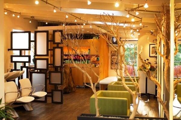 The salon :)