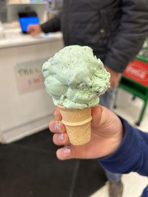 Mint Chocolate Chip