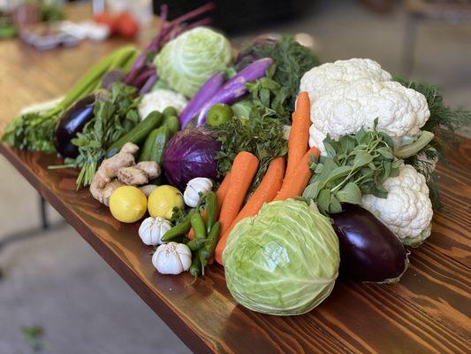 Gradients: Organic Hand Selection Vegetables from the nature!