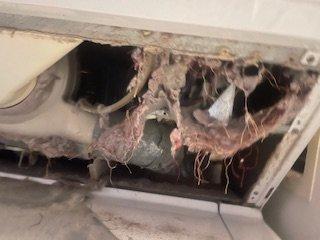 Most fires are caused by lint burning. A vent that is not cleaned prevents your dryer from working. Prioritize cleaning your dryer.