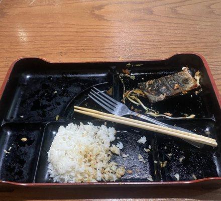 Empty Bento Box