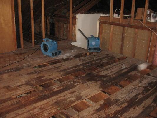 Entire room had to be gutted and dried due to flooding in Woodmere, Long Island.